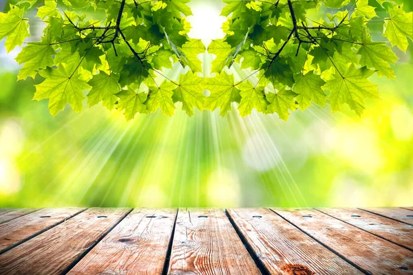 Прекрасний Весняний Фон Зеленим Соковитим Листям Порожнім Дерев Яним Столом — стокове фото