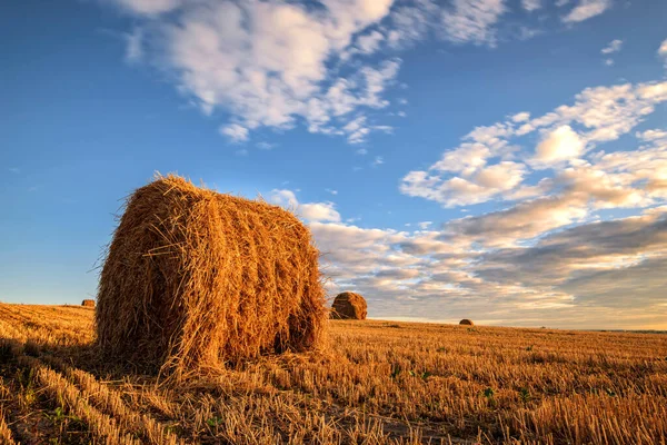 Bellissimo Paesaggio Campagna Balle Rotonde Paglia Nei Campi Raccolti Cielo — Foto Stock