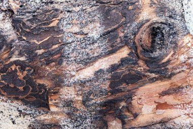 Eski Ahşap Arkaplan 'ı yok et. Yakın plan tahta dokusu. Eski ahşabın güzel çizgileri. Eski ahşap doku.