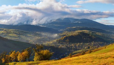 Güneş ışığıyla parlayan muhteşem yeşil tepeler. Dramatik sabah manzarası. Carpathian, Ukrayna, Avrupa. Güzellik dünyası.