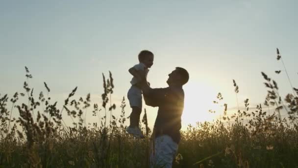 Mutlu baba, gün batımında çimlerle kaplı bir tarlada oğlunun kollarını havaya fırlatıyor. Telifsiz Stok Video