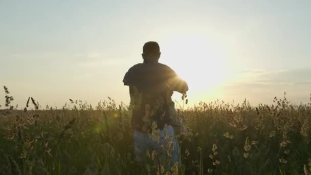 En glad far snurrar sin son på en äng i det höga gräset vid solnedgången i slow motion. Begreppet lycklig familj Stockfilm