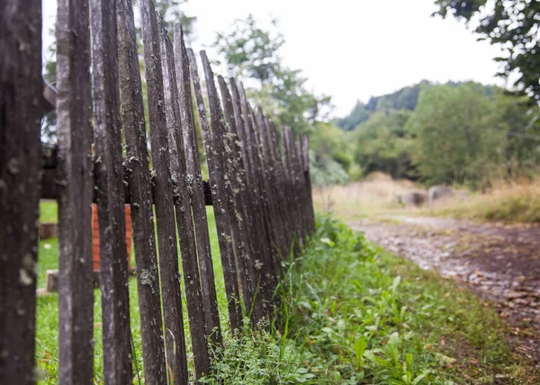 Peaceful rural scene of a wooden track in a natural area.