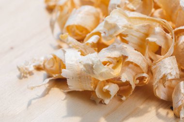 Ladin ağacından geniş talaşlar, arka plandaki ladin ağacına yakın plan. Sabit ışıkla makro fotoğrafçılık