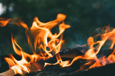 Bahçedeki yeşil yaprakların arka planında ev yapımı bir barbeküde odun yakmak. Yakacak odun, ateş ve duman yakın plan