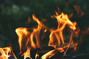 Bahçedeki yeşil yaprakların arka planında ev yapımı bir barbeküde odun yakmak. Yakacak odun, ateş ve duman yakın plan