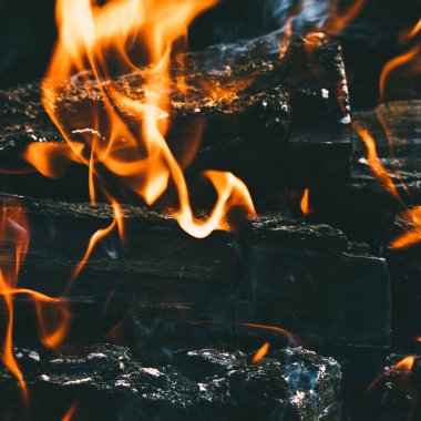 Bahçedeki yeşil yaprakların arka planında ev yapımı bir barbeküde odun yakmak. Yakacak odun, ateş ve duman yakın plan