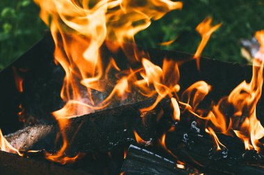Bahçedeki yeşil yaprakların arka planında ev yapımı bir barbeküde odun yakmak. Yakacak odun, ateş ve duman yakın plan