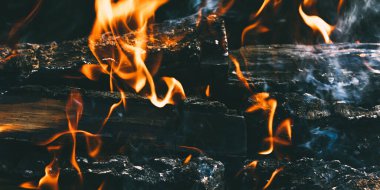 Bahçedeki yeşil yaprakların arka planında ev yapımı bir barbeküde odun yakmak. Yakacak odun, ateş ve duman yakın plan