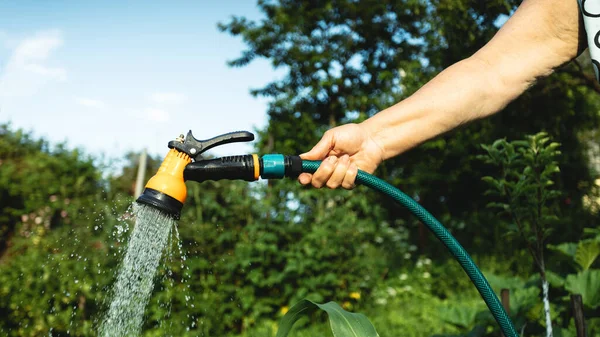 Banliyödeki bir yazlıkta bahçe hortumundan çiçekleri sulayan yaşlı bir kadın. Güzel sıcak yaz akşamı.