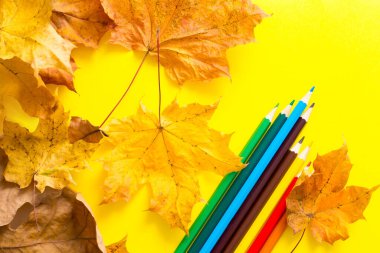 Sarı arka planda sarı akçaağaç yaprakları, renkli kalemler, sonbahar çizimleri.