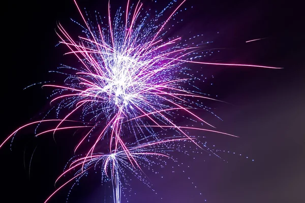 Purple fireworks against the black sky at night