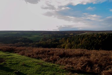 North Yorkshire moors bakan bir görüntü