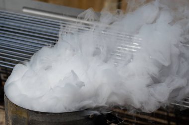 Sonra onu yaktı bir Barbekü kömür bacadan billowing beyaz duman