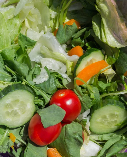 Domates, salatalık, marul ve biber ile sebze salatası yakın çekim