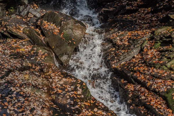 Egy Kis Patak Víz Fut Keresztül Rocks Fedett Őszi Levelek — Stock Fotó