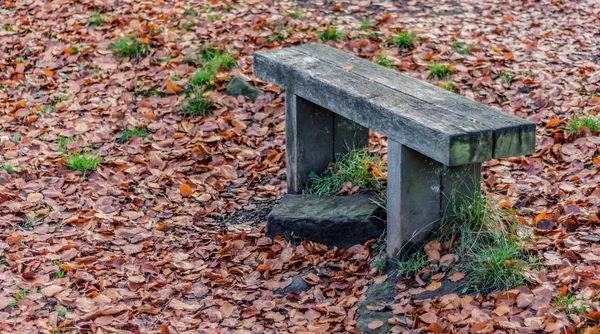 Een Oude Houten Bank Najaar Daaromheen Bladeren Grond — Stockfoto