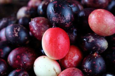 taze karonda meyve sağlık ot Tayland için