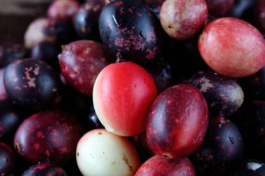 taze karonda meyve sağlık ot Tayland için