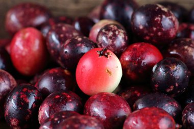 taze karonda meyve sağlık ot Tayland için