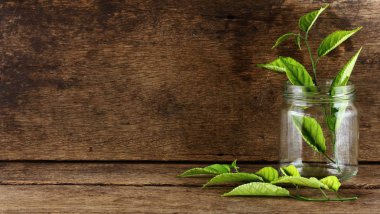 Cam ve eski ahşap ve eski ahşap doku yaprağına