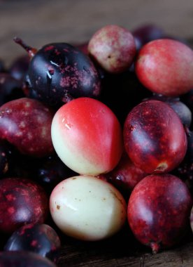 taze karonda meyve sağlık ot Tayland için