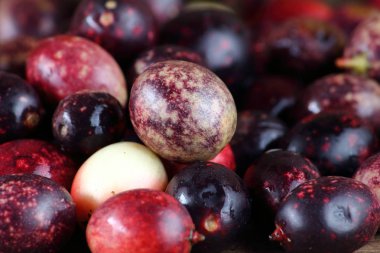 taze karonda meyve sağlık ot Tayland için