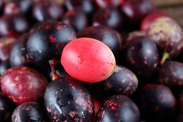 Fruta Fresca Karonda Para Hierba Salud Tailandia —  Fotos de Stock