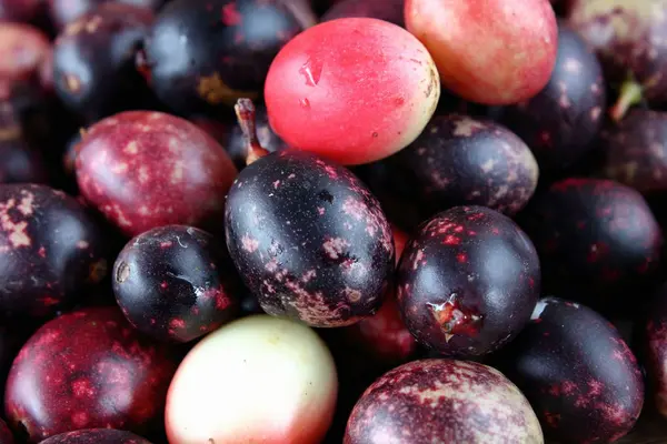 Fruta Fresca Karonda Para Hierba Salud Tailandia —  Fotos de Stock