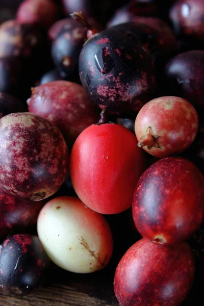 Frische Karonda Frucht Für Gesundheitskraut Thailand — Stockfoto