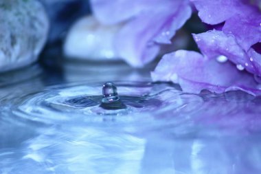 güzel taze damla su arka plan üzerinde taze doğada