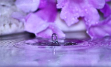 güzel taze damla su arka plan üzerinde taze doğada