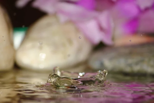 Hermosa Gota Agua Dulce Naturaleza Fresca Fondo — Foto de Stock