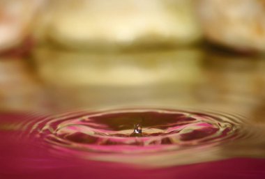 güzel taze damla su arka plan üzerinde taze doğada