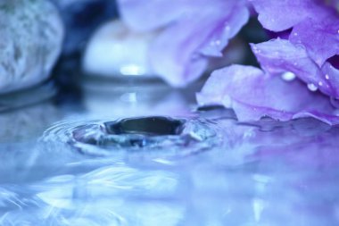 güzel taze damla su arka plan üzerinde taze doğada