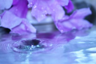 güzel taze damla su arka plan üzerinde taze doğada