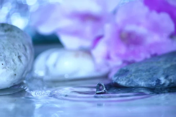 Hermosa Gota Agua Dulce Naturaleza Fresca Fondo — Foto de Stock