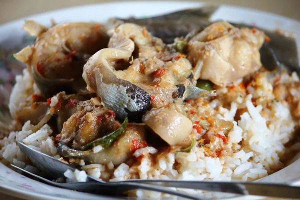 Kari ikan lele dengan nasi dalam makanan thai — Stok Foto
