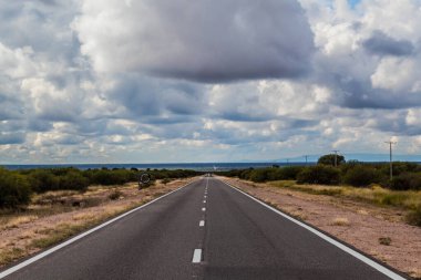 Yazın görkemli tarlada kayıp yol.