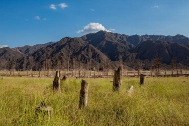 Kuru gölün önündeki harika Potrerillos dağları sonbaharda kuru ağaçlarla.