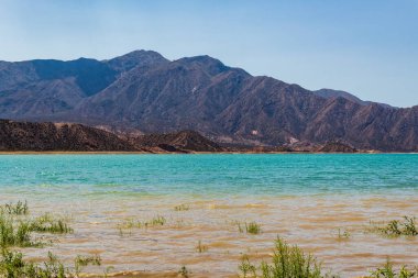 Yazın gölün önündeki muhteşem Potrerillos Dağları