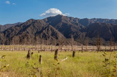 Kuru gölün önündeki harika Potrerillos dağları sonbaharda kuru ağaçlarla.