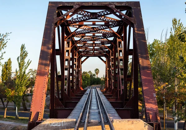 Mendoza Doğanın Önündeki Görkemli Kırmızı Tren Köprüsü — Stok fotoğraf