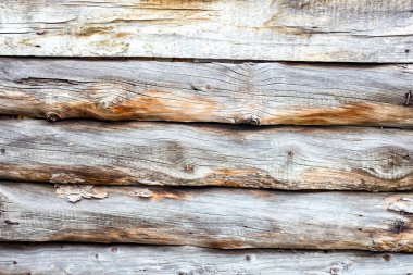 Çok sayıda paralel ahşap kütük dokusuna sahip kalkan.