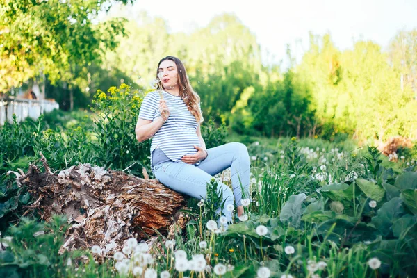 タンポポを吹く夏の日 公園を歩いて 妊娠中の女性 — ストック写真