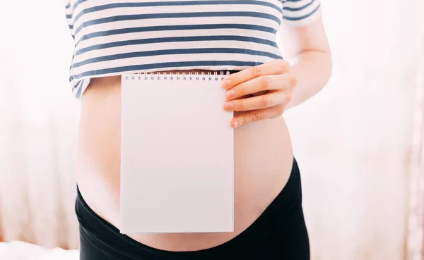 Mujer Embarazada Alegre Haciendo Notas Jotter Centran Papel Vientre Está —  Fotos de Stock