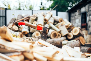 Kolun yakın çekim yuvarlak ağaç kalıntıları çerçevede bir ahşap takoz içinde