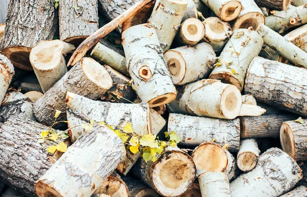 Kolun yakın çekim yuvarlak ağaç kalıntıları çerçevede bir ahşap takoz içinde