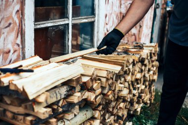 Evi ısıtmak için hazırlanmış odun yığını. Kış veya şenlik ateşi için odun topluyorum. Adam elinde odun tutuyor.