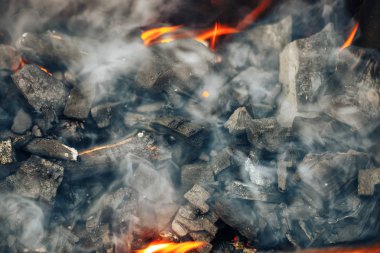 Kömürün üstünde ateş. Şiş Kebap için yangın hazırlanması. piknik. Açık rekreasyon